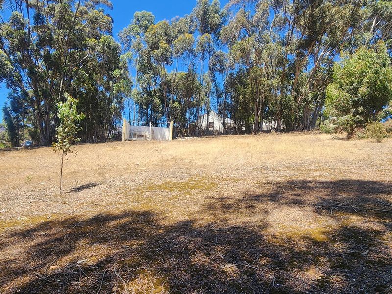 Elevated Stand with Sweeping Country Views in Napier - Photo 2