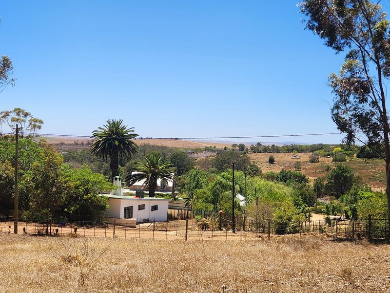 Elevated Stand with Sweeping Country Views in Napier - Photo 10