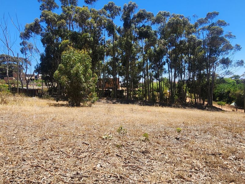 Elevated Stand with Sweeping Country Views in Napier - Photo 9