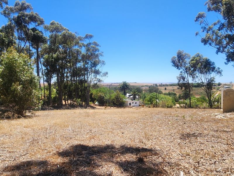 Elevated Stand with Sweeping Country Views in Napier - Photo 8