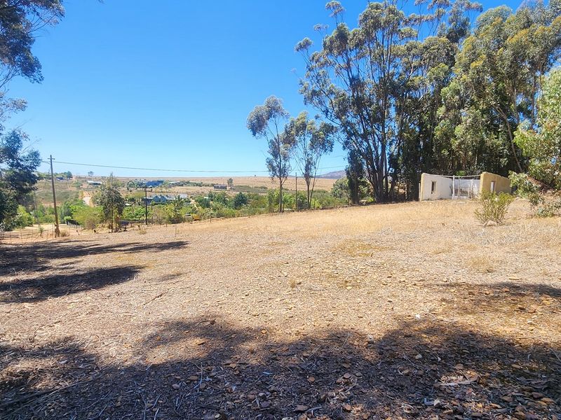 Elevated Stand with Sweeping Country Views in Napier - Photo 6