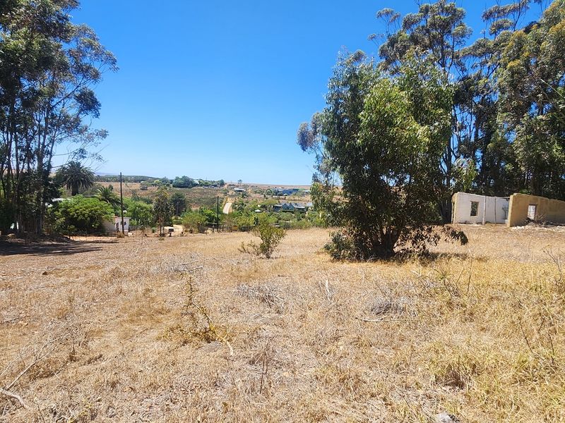 Elevated Stand with Sweeping Country Views in Napier - Photo 7