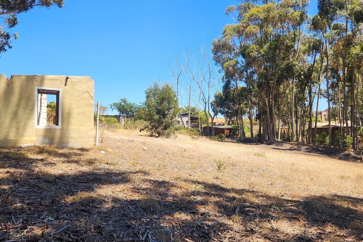 Elevated Stand with Sweeping Country Views in Napier - Photo 3