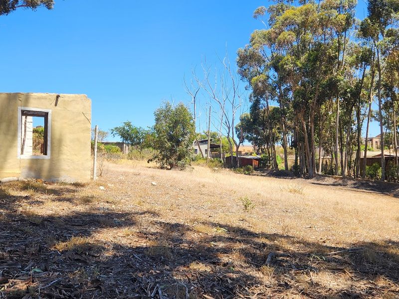 Elevated Stand with Sweeping Country Views in Napier - Photo 3