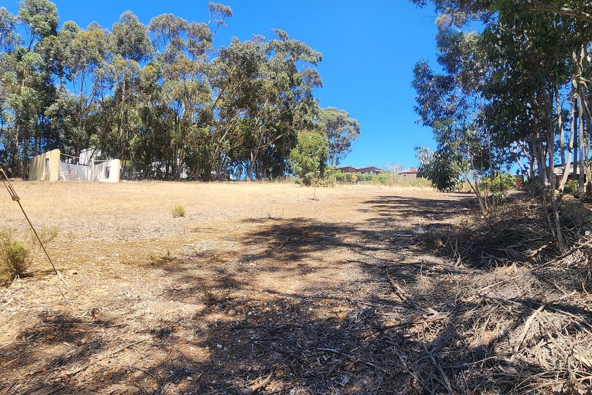 Elevated Stand with Sweeping Country Views in Napier - Photo 5