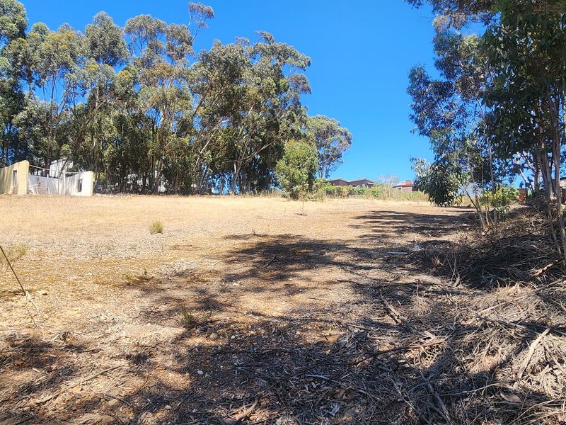 Elevated Stand with Sweeping Country Views in Napier - Photo 5