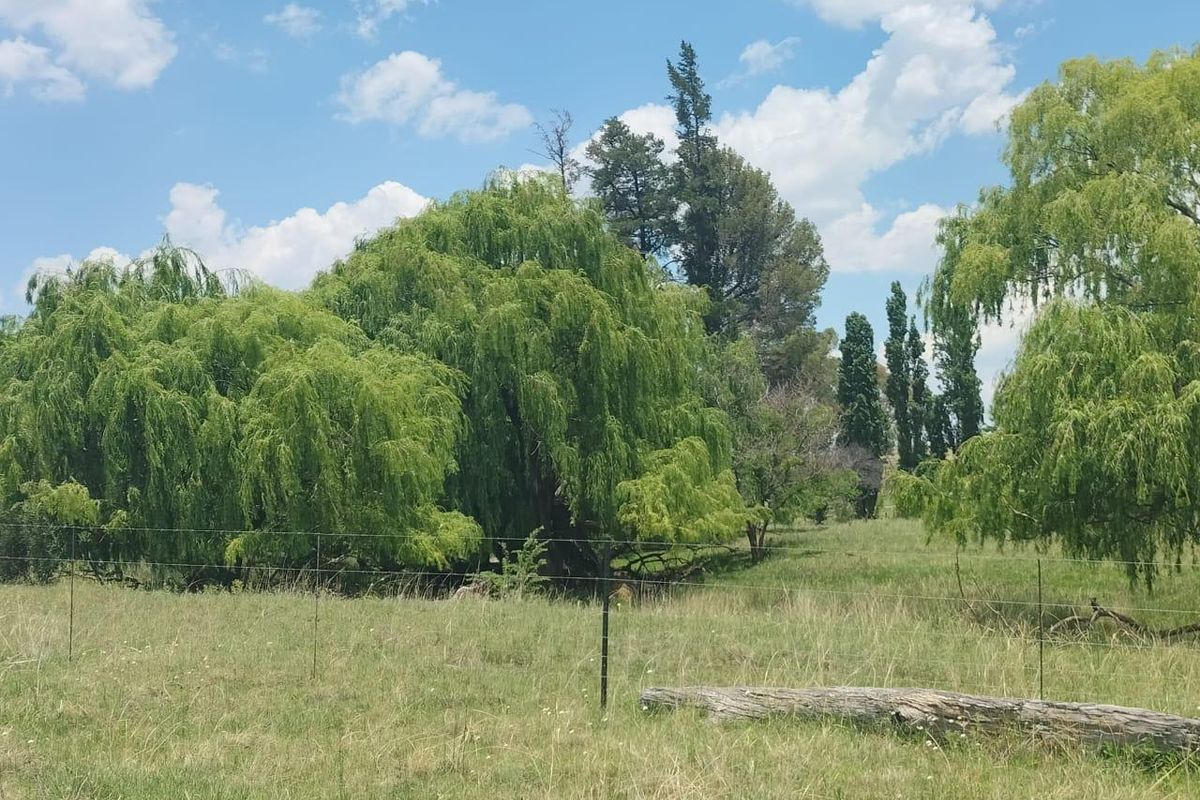 Livestock farm in Bethlehem - Photo 4
