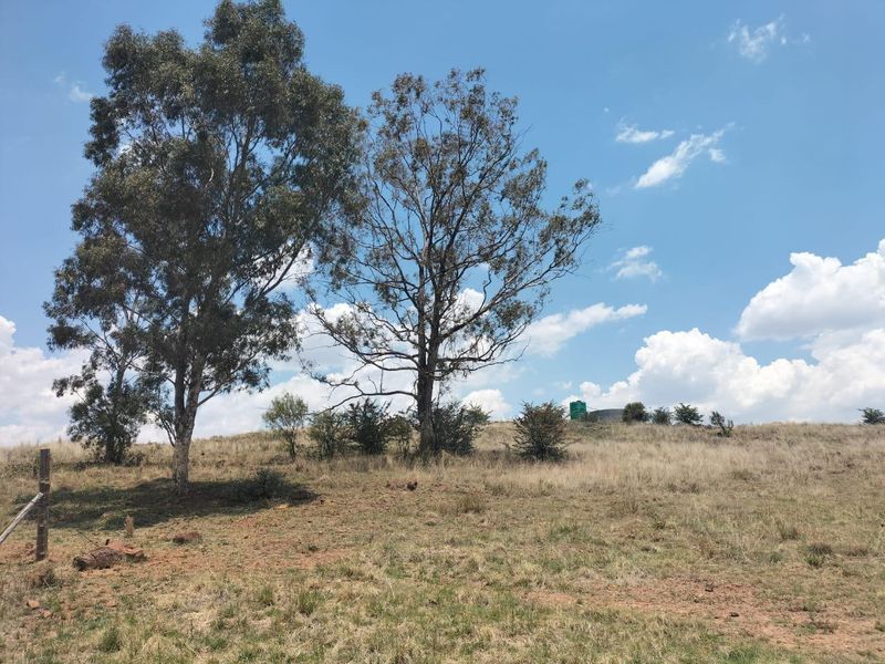 Livestock farm in Bethlehem - Photo 6