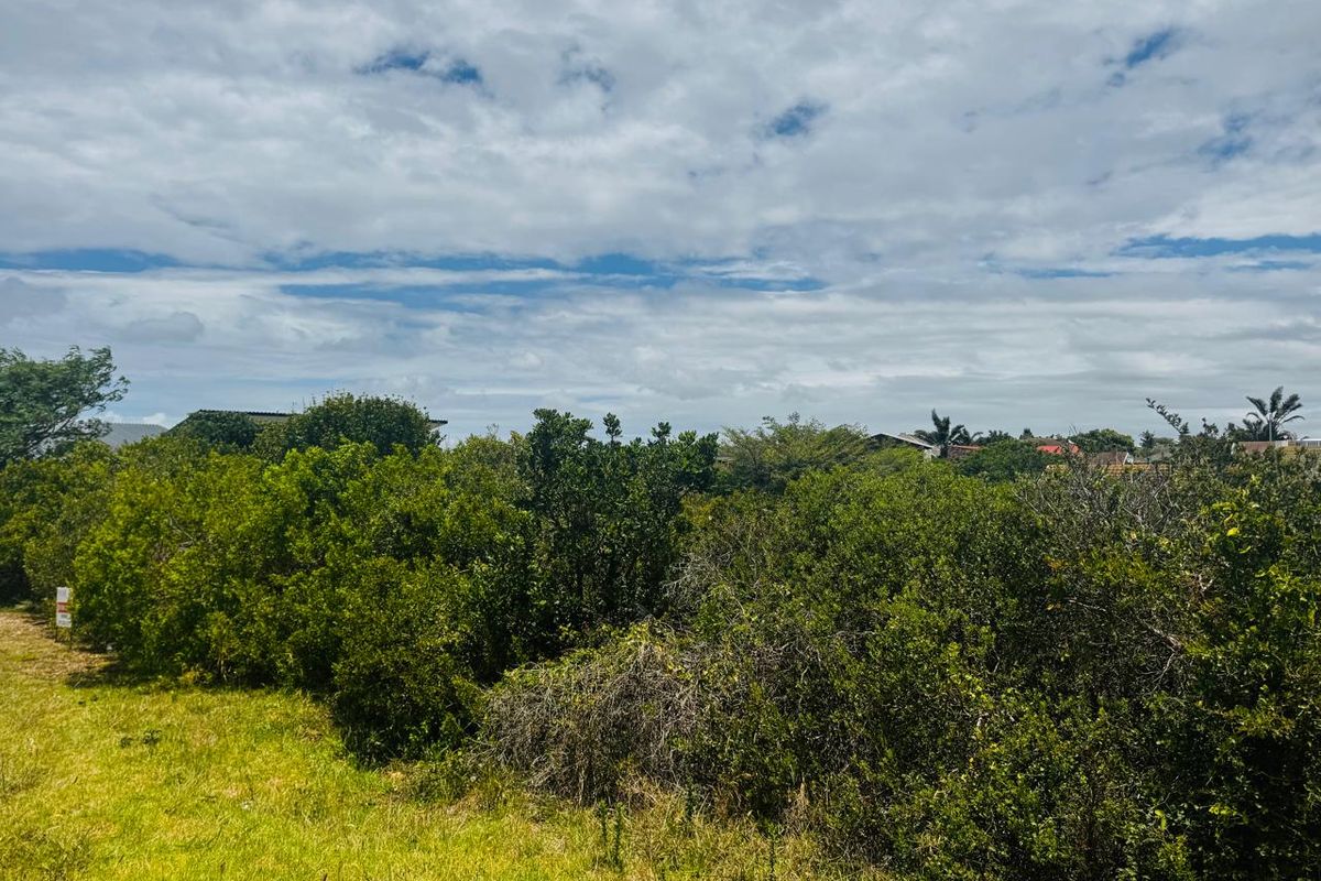 A view of a vacant residential plot featuring dense natural vegetation and grass cover under a cloudy sky.