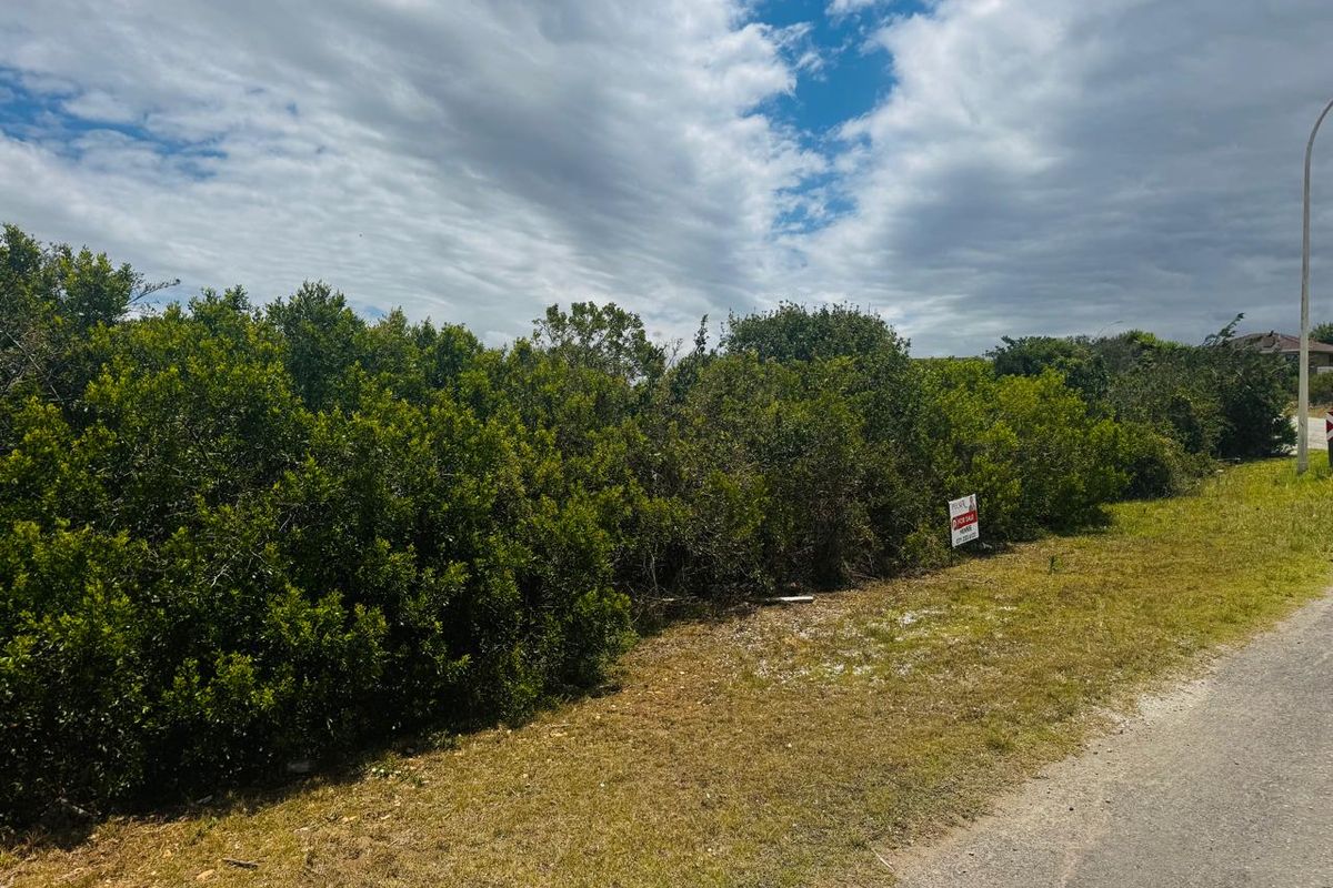 Vacant Stand for Sale – Jeffreys Bay, Noorsekloof - Photo 4