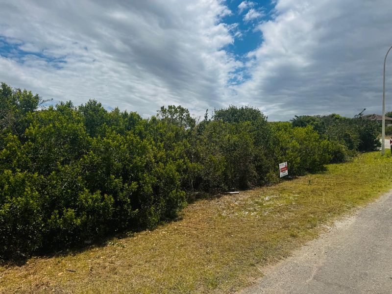 Vacant Stand for Sale – Jeffreys Bay, Noorsekloof - Photo 4