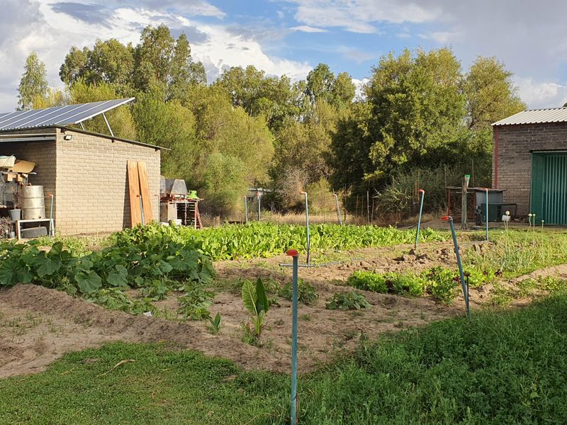 House on the banks of the Vaal River - Photo 6