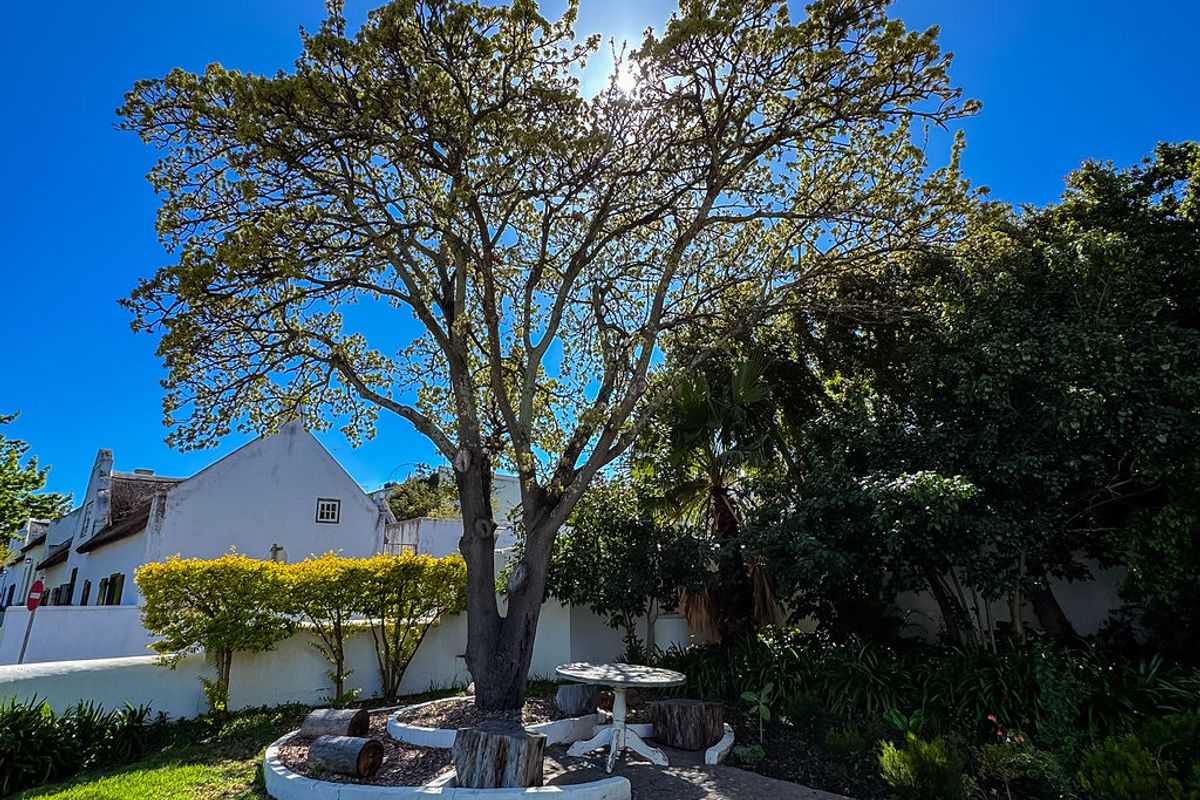 Historic Coach House For Sale In Tulbagh, Church Street, circa 1864 - Photo 4