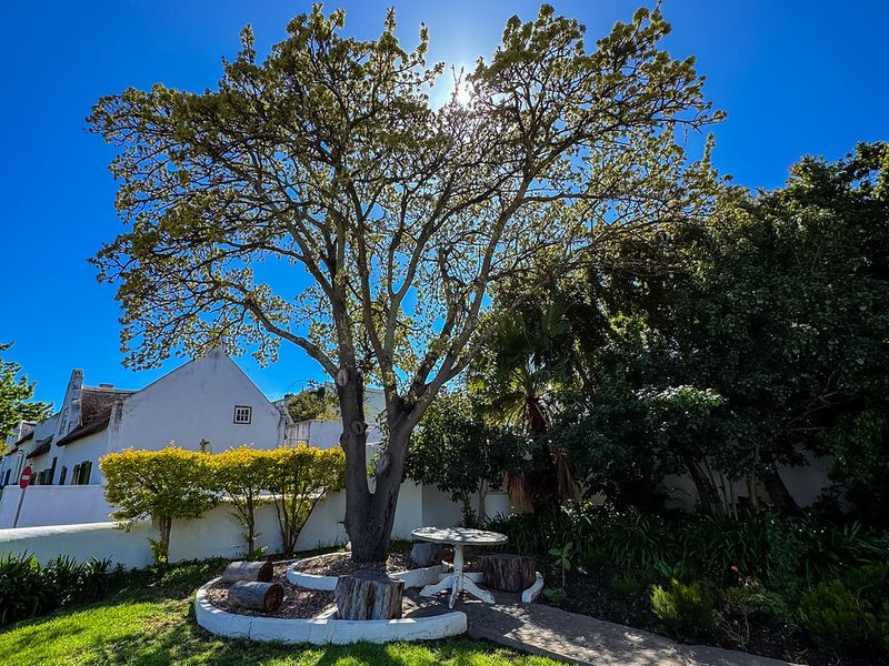 Historic Coach House For Sale In Tulbagh, Church Street, circa 1864 - Photo 4