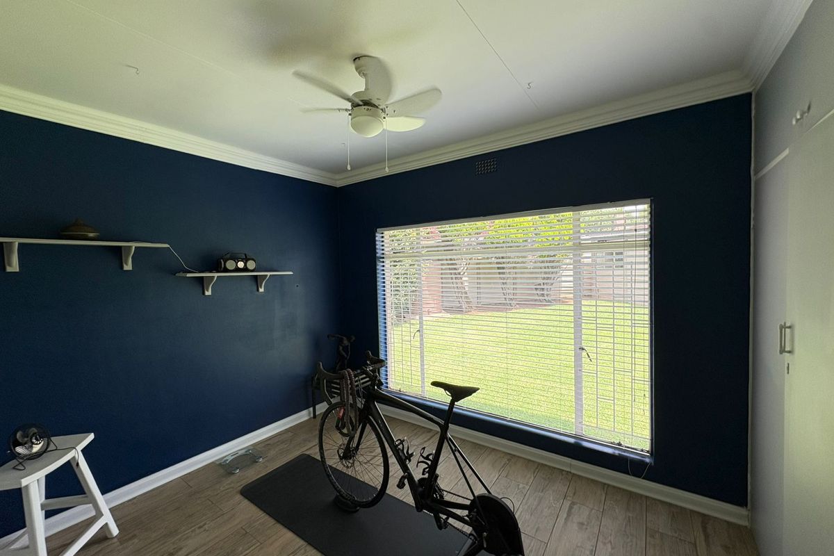 A bedroom featuring dark blue accent walls, laminate flooring, a ceiling fan, and large windows with venetian blinds overlooking the garden.