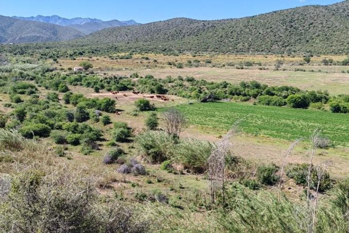 A scenic aerial view of the expansive farm landscape, featuring open grazing fields, natural vegetation, and distant mountain ranges.