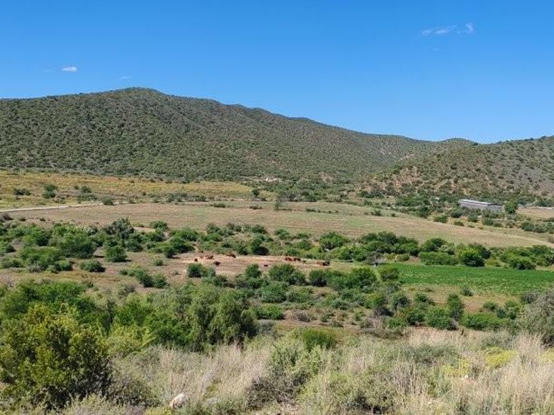 Expansive rural landscape view featuring rolling hills, natural vegetation, and open grazing land typical of a farm setting.