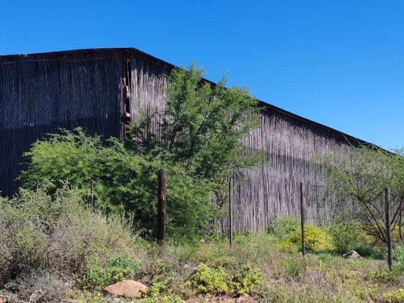 A large, weathered agricultural barn structure featuring rustic reed-style cladding, situated in an open rural farm landscape.