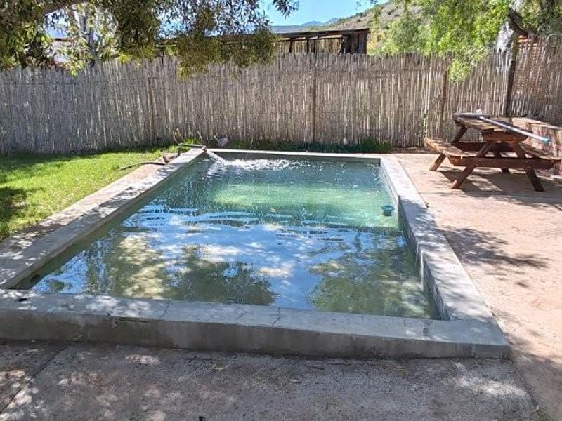 Outdoor farm-style swimming pool area featuring a concrete basin, brick retaining wall, and surrounding garden space.