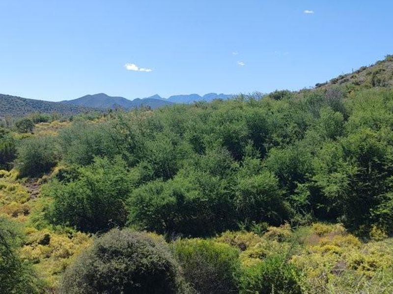Expansive scenic view of the natural farm landscape featuring rolling hills and native vegetation under a clear blue sky.
