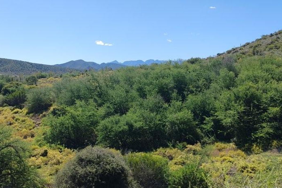 Expansive scenic view of the natural farm landscape featuring rolling hills and native vegetation under a clear blue sky.