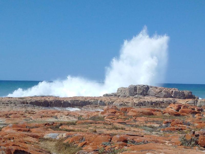 Unique Coastal Investment Opportunity in Gouritsmond - Photo 3