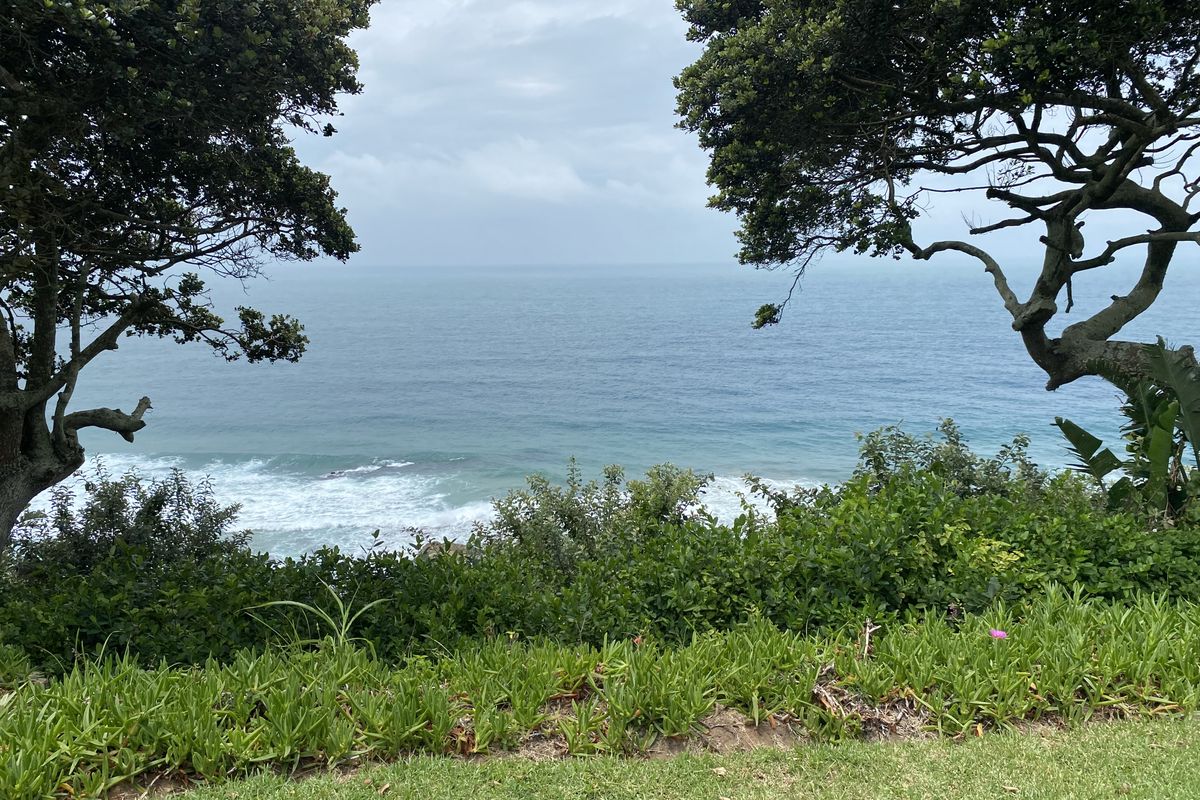 Ocean Views Every Day - Photo 2