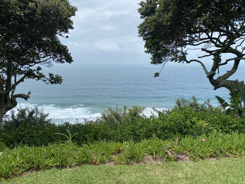 A scenic view of the ocean framed by mature trees and a well-maintained garden area.