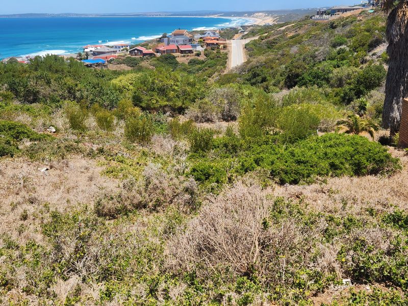 A sloping vacant residential plot featuring natural coastal vegetation and expansive ocean views, situated in a developed neighborhood.