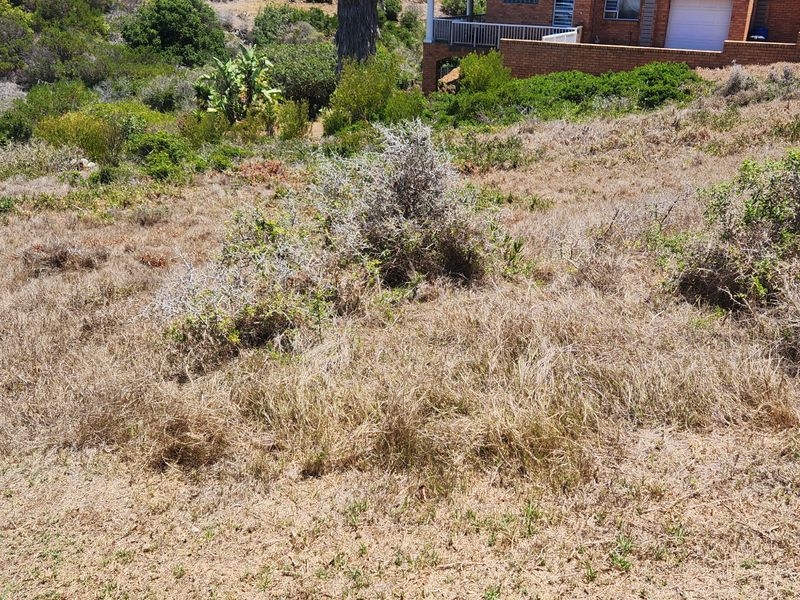 A sloped, undeveloped residential plot featuring natural vegetation and scrub, with an adjacent brick residential property visible in the background.