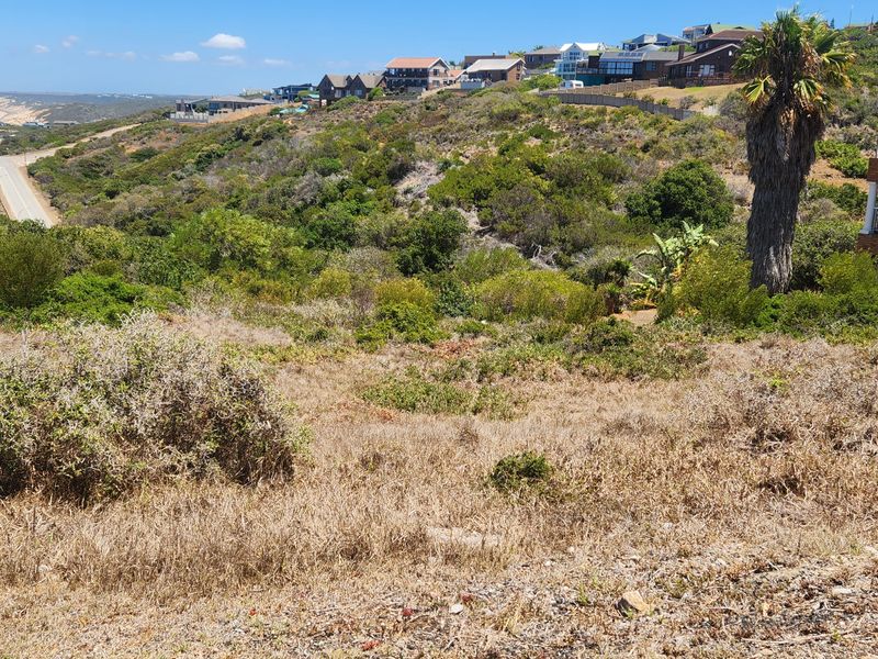 A view of a vacant residential plot featuring natural coastal vegetation, with surrounding neighborhood homes and distant ocean views.