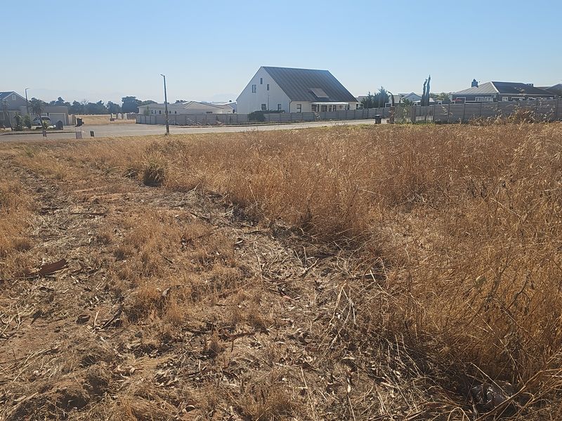 Vacant land for sale in Darling - Photo 8