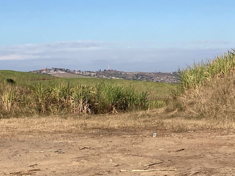 A scenic view of expansive agricultural land featuring sugar cane crops with a distant hillside landscape under a clear blue sky.
