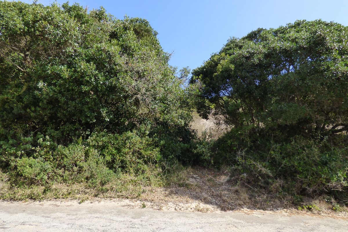 Elevated Coastal Stand in Sought-After Gleneagles Drive, Port Alfred - Photo 3