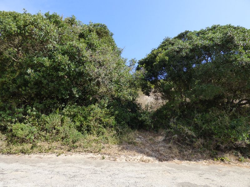 Elevated Coastal Stand in Sought-After Gleneagles Drive, Port Alfred - Photo 3