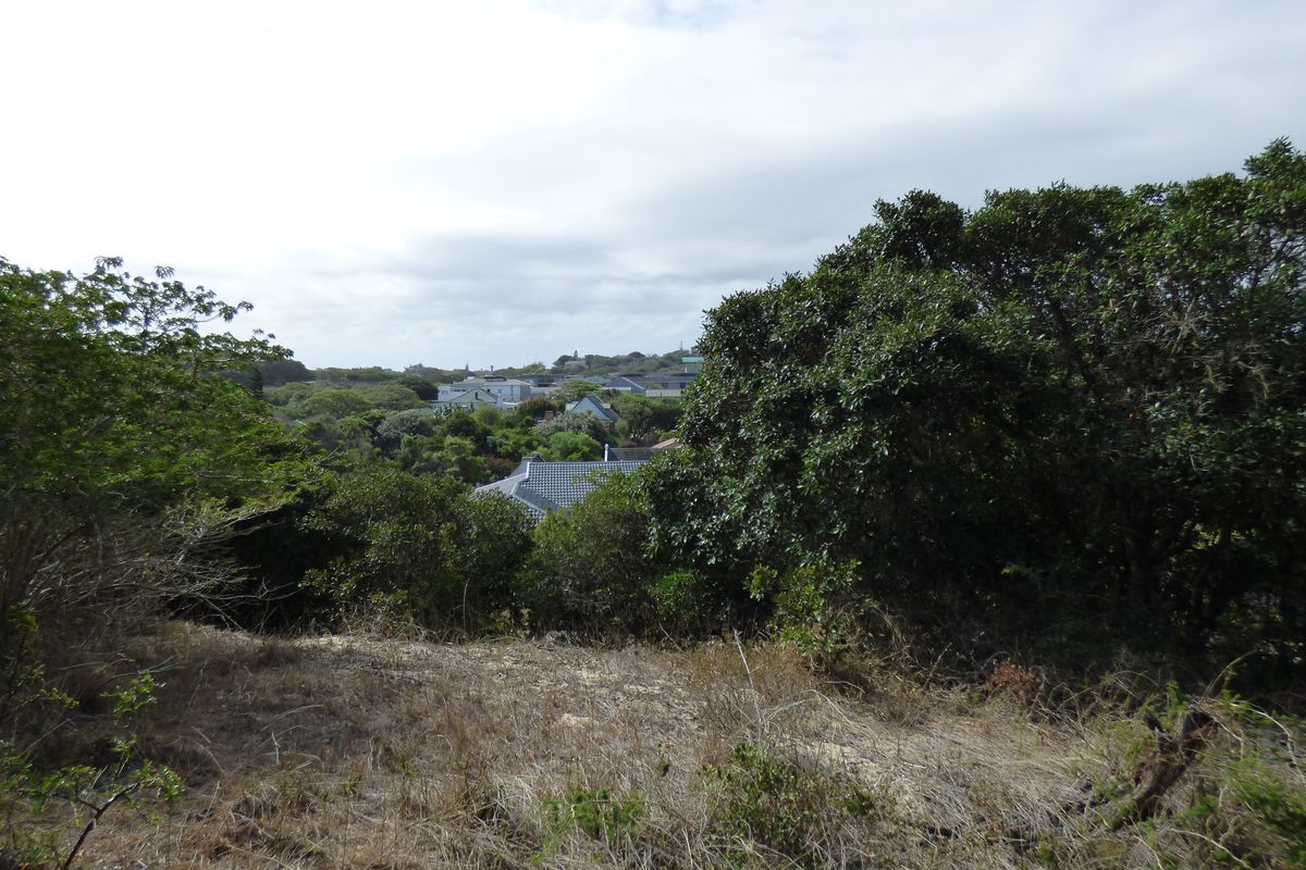 Elevated Coastal Stand in Sought-After Gleneagles Drive, Port Alfred - Photo 4