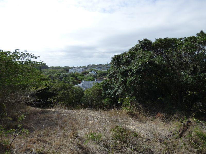Elevated Coastal Stand in Sought-After Gleneagles Drive, Port Alfred - Photo 4