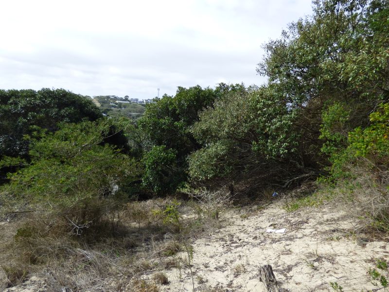 Elevated Coastal Stand in Sought-After Gleneagles Drive, Port Alfred - Photo 9