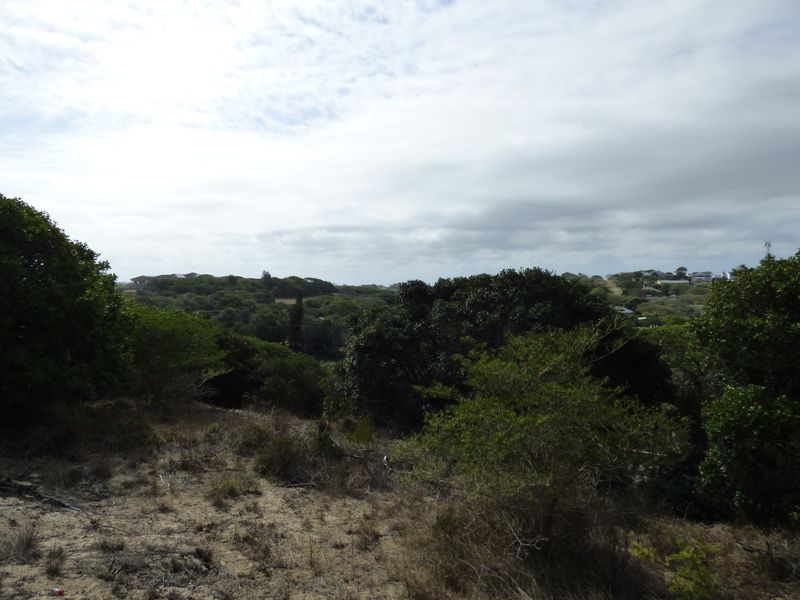 Elevated Coastal Stand in Sought-After Gleneagles Drive, Port Alfred - Photo 8