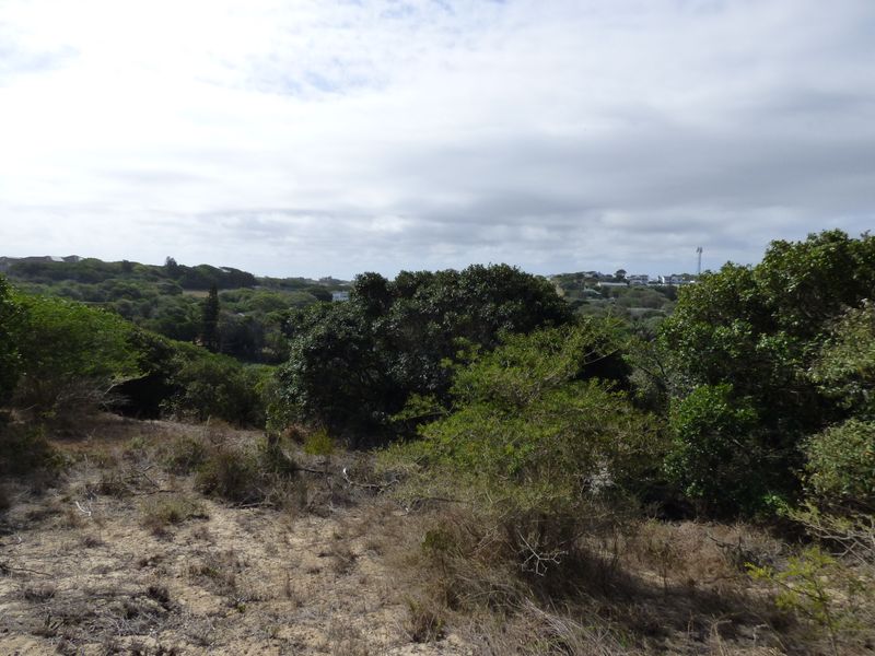 Elevated Coastal Stand in Sought-After Gleneagles Drive, Port Alfred - Photo 10