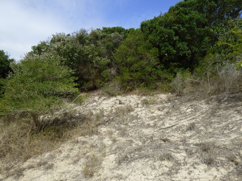 Elevated Coastal Stand in Sought-After Gleneagles Drive, Port Alfred - Photo 7