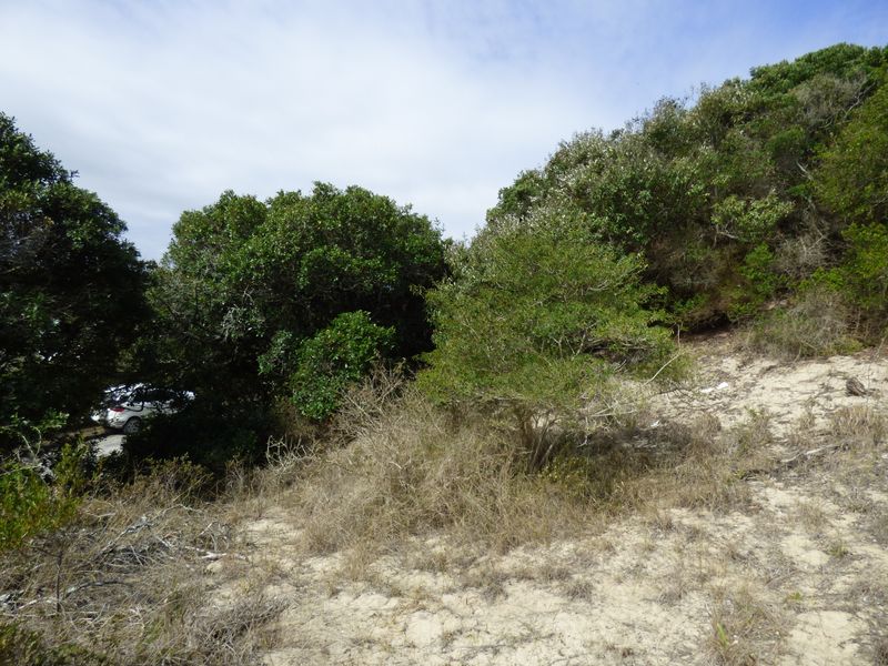 Elevated Coastal Stand in Sought-After Gleneagles Drive, Port Alfred - Photo 6