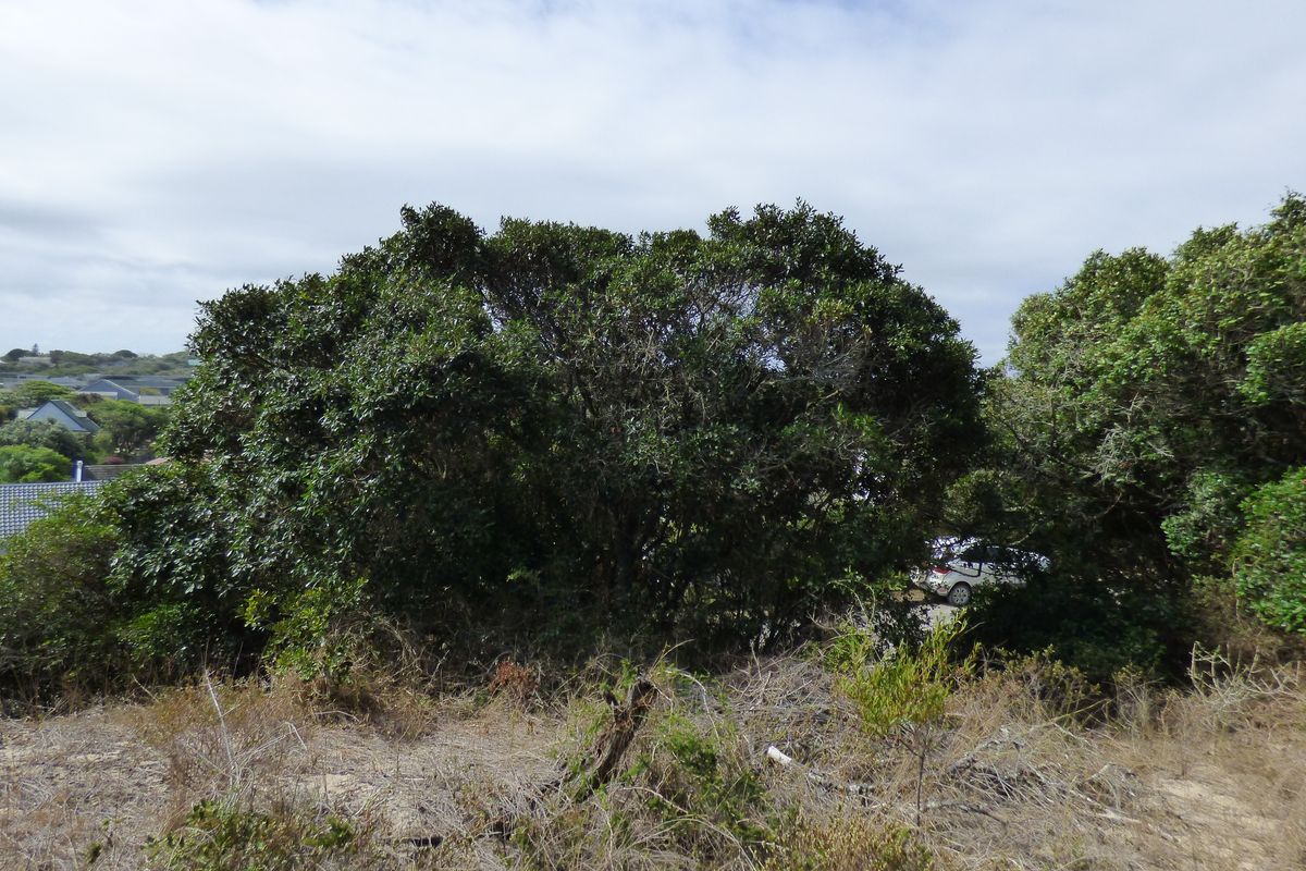 Elevated Coastal Stand in Sought-After Gleneagles Drive, Port Alfred - Photo 5