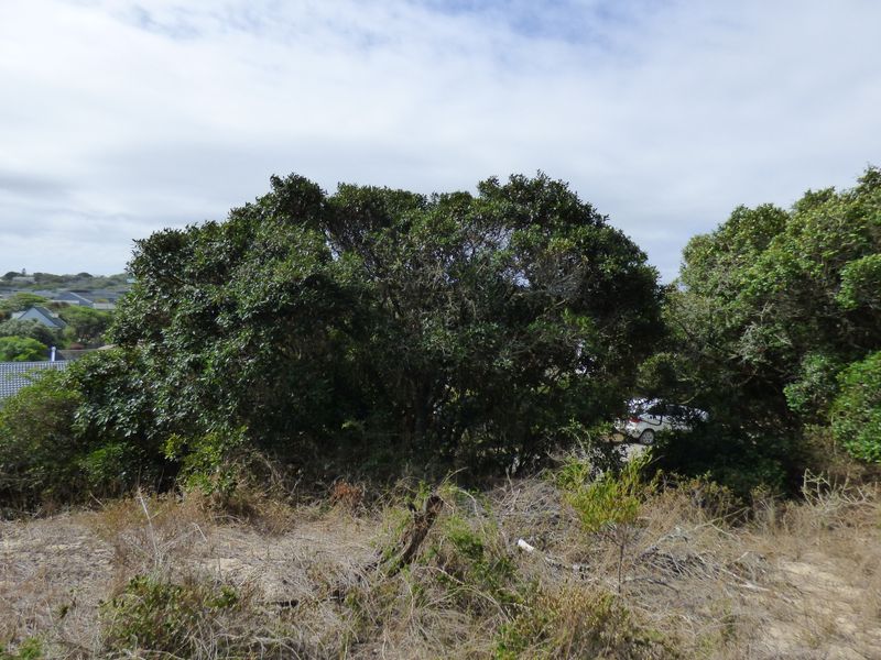 Elevated Coastal Stand in Sought-After Gleneagles Drive, Port Alfred - Photo 5