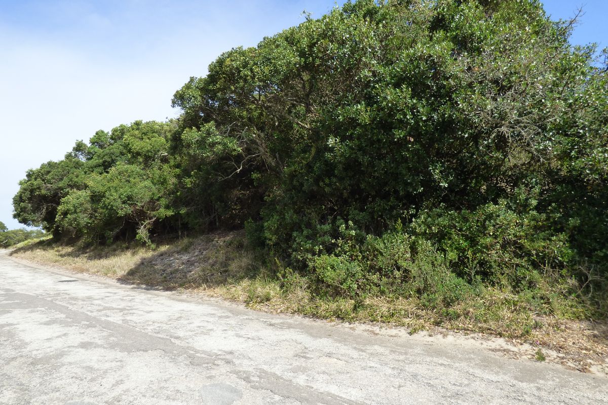 Elevated Coastal Stand in Sought-After Gleneagles Drive, Port Alfred - Photo 2