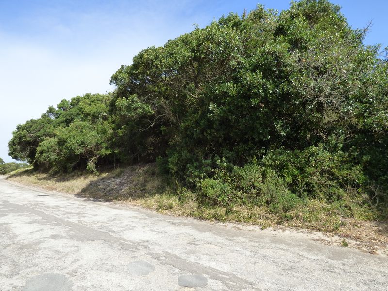 Elevated Coastal Stand in Sought-After Gleneagles Drive, Port Alfred - Photo 2