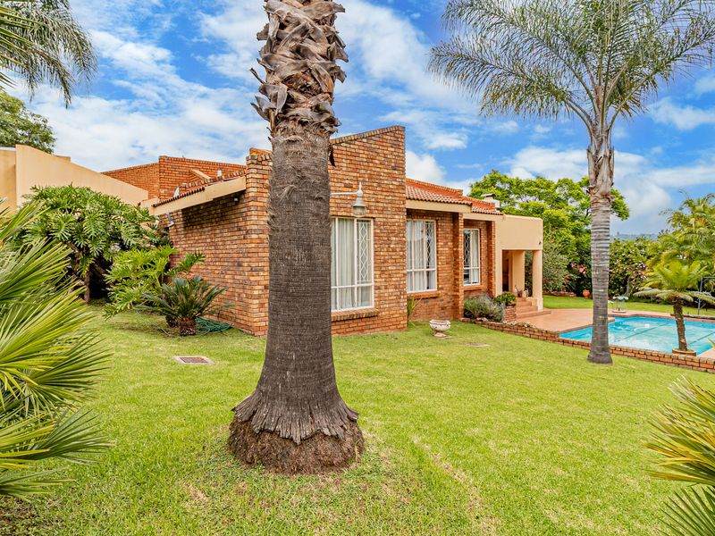 Beautiful Family home looking for new loving family - Photo 3