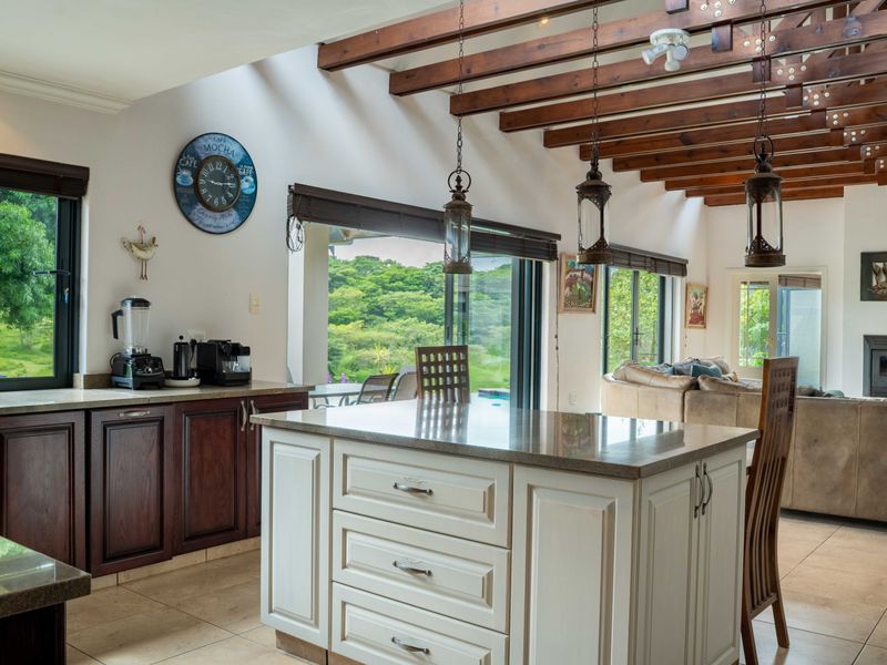 Single Storey Living with amazing Views - Photo 10