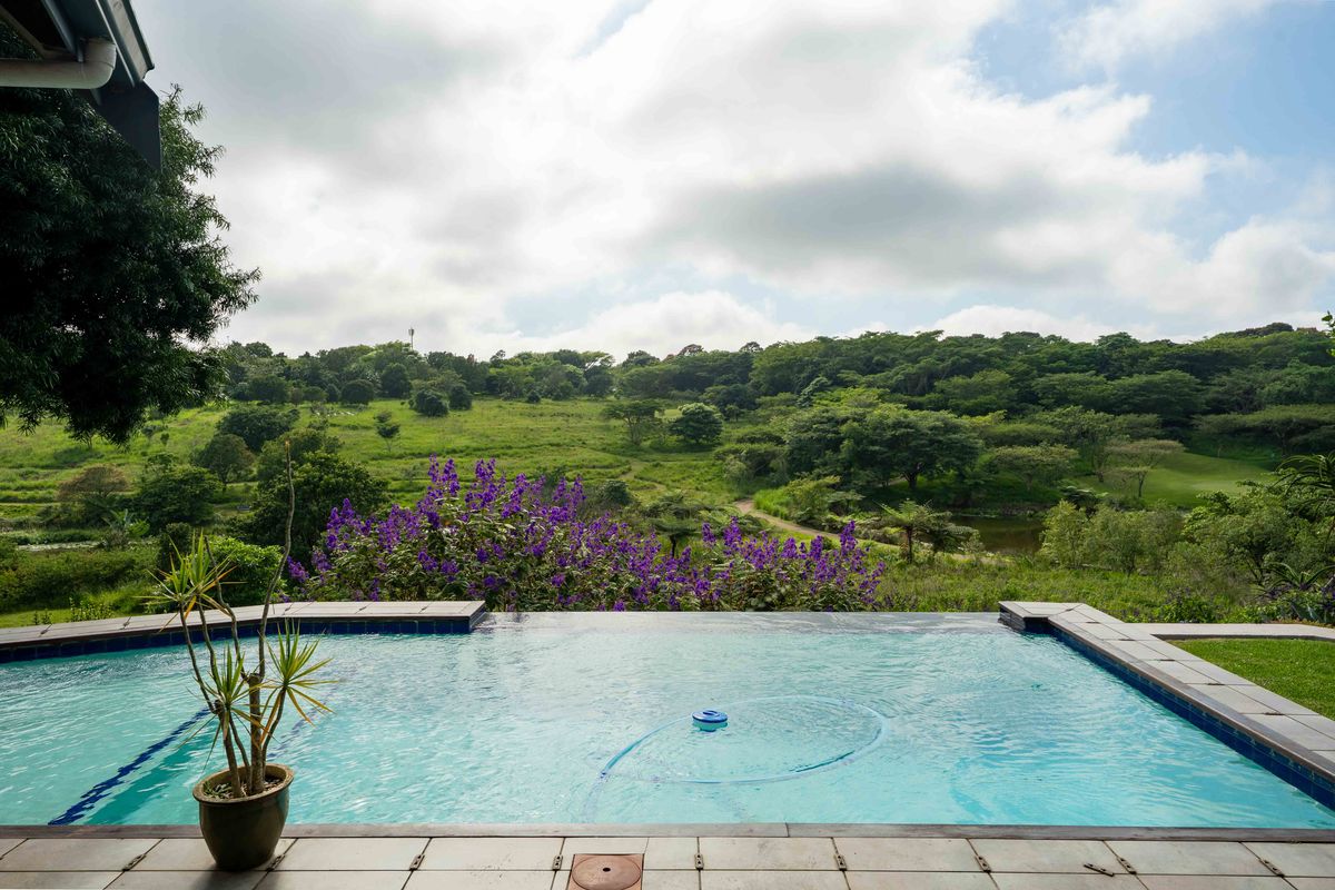 Single Storey Living with amazing Views - Photo 5