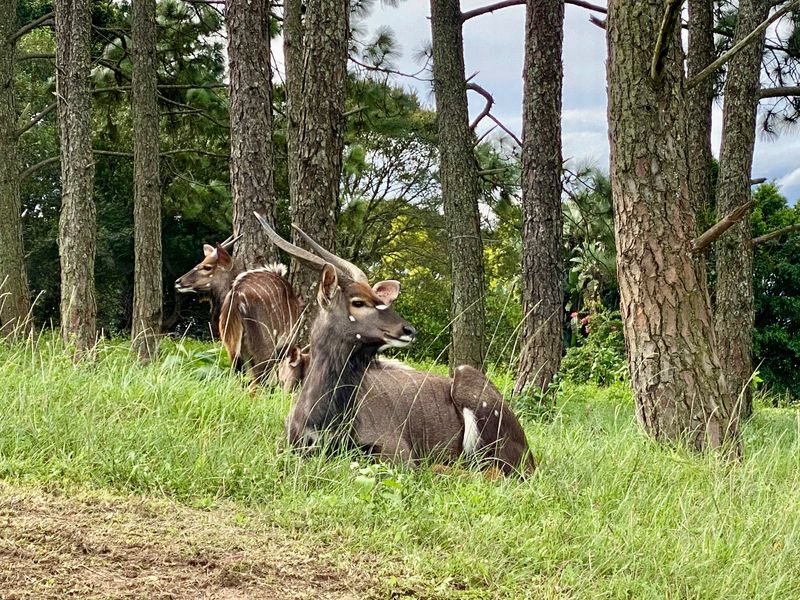 Vacant Land Residential For Sale In Pietermaritzburg - Photo 3